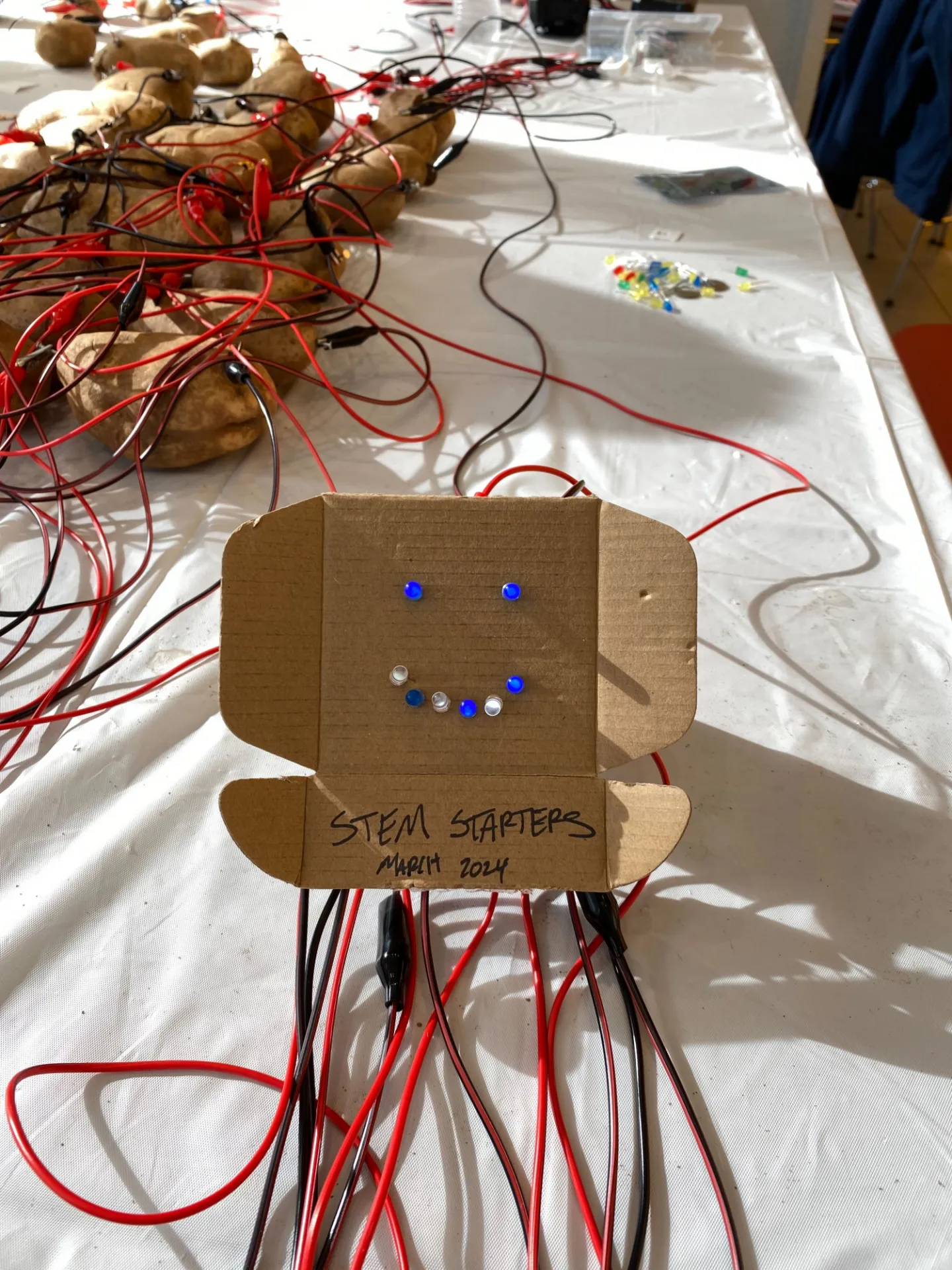 Earth through time, STEM Starter Event, March 2024